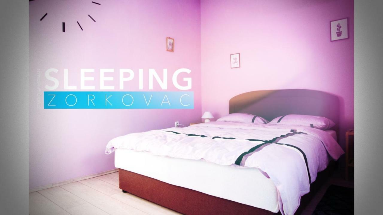 Studio Apartman Zorkovac Apartment Ozalj Ngoại thất bức ảnh