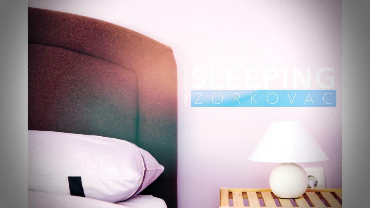 Studio Apartman Zorkovac Apartment Ozalj Ngoại thất bức ảnh